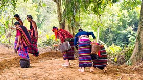 Lễ hội trỉa lúa và hò thuốc cá là di sản văn hóa phi vật thể quốc gia