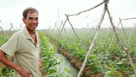 Nhờ chuyển đổi sản xuất hợp lý, nông dân huyện Long Phú, tỉnh Sóc Trăng được vụ hoa màu. Ảnh: TUẤN QUANG