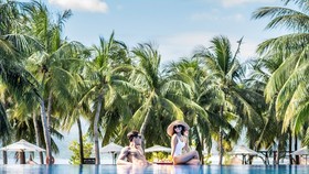 Vinpearl được vinh danh với 29 giải thưởng TripAdvisor