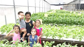 Thêm nhiều giải pháp thích ứng với biến đổi khí hậu