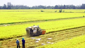 Từng bước “đánh thức” doanh nghiệp và nông dân