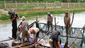 Đồng Tháp khôi phục sản xuất, phát triển kinh tế