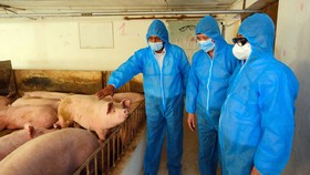 Hỗ trợ ngành chăn nuôi khôi phục sản xuất