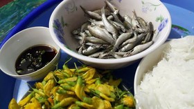 Tin đâu như sét đánh ngang: Quà cá linh