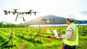 Đất nhiễm mặn: Mối đe dọa của toàn cầu