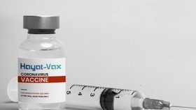 Bộ Y tế cấp phép vaccine Hayat–Vax của Trung Quốc sản xuất bán thành phẩm