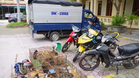 Các tang vật thu giữ