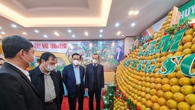 Lãnh đạo tỉnh Hà Tĩnh tham quan các gian hàng trưng bày cam tại hội nghị