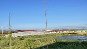 Dự án Trang trại chăn nuôi bò sữa cao sản Bắc Hà ở xã An Dũng, huyện Đức Thọ, Hà Tĩnh