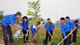 10 năm tới, Bến Tre sẽ trồng 10 triệu cây xanh