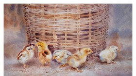 Triển lãm màu nước quốc tế “Nghệ thuật và Hòa bình”