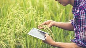 Không còn chân lấm tay bùn khi khởi nghiệp bằng nông nghiệp