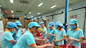 Nông sản Việt được đóng gói để xuất khẩu
