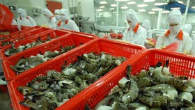 Xuất khẩu tôm và cá tra đang phục hồi ở thị trường Mỹ