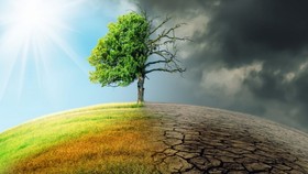 Nhật Bản khởi động quỹ đầu tư xanh đầu tiên