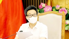 Phó Thủ tướng Vũ Đức Đam phát biểu tại cuộc họp. Ảnh: TTXVN