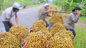 Hỗ trợ người dân tiêu thụ nông sản