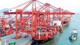 Cảng container không phát thải carbon