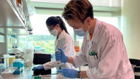 Các nhà khoa học tại SMART