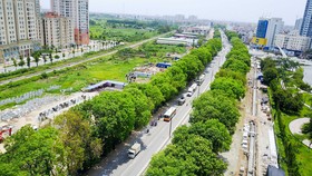 Diện tích đất dành cho cây xanh ở TPHCM không đạt so với quy hoạch