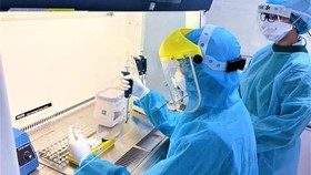 Việt Nam 47 ngày không có ca mắc Covid-19 ở cộng đồng