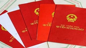 Sang nhượng đúng bị quy chiếm đất