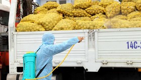 Hỗ trợ tiêu thụ nông sản ở các vùng dịch