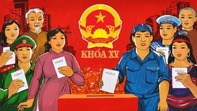 Kiều bào có được ứng cử đại biểu Quốc hội, đại biểu HĐND?
