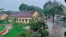 UNDP viện trợ 4 tỷ đồng khắc phục thiên tai ở Quảng Ngãi