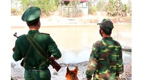 Phối hợp ngăn chặn các trường hợp nhập cảnh trái phép