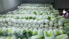 Nông sản tại nhiều tỉnh thành có giá bán thấp do không tìm được đầu ra