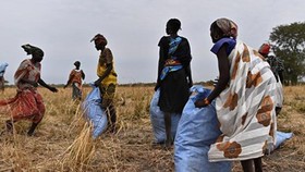 WFP giảm viện trợ lương thực cho Nam Sudan