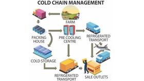 Phát triển chuỗi cung ứng lạnh để tiết kiệm thực phẩm