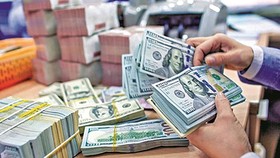 9 tháng kiều hối về TPHCM đạt 5,1 tỷ USD