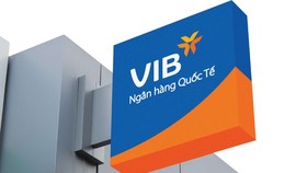 Tính chung trong một năm qua cổ phiếu VIB tăng 220%.