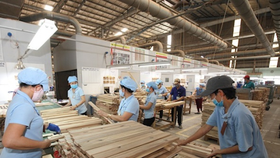 Doanh nghiệp 'xoay' theo Covid-19 để tồn tại