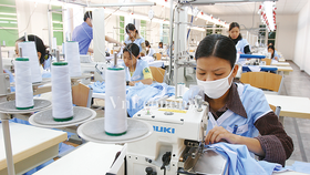Doanh nghiệp nhỏ dễ bị tổn thương nhất trong khủng hoảng.