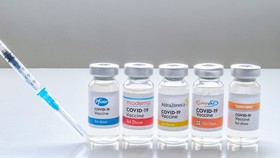 dự kiến để tiêm đủ cho 75 triệu người dân sẽ mua 150 triệu liều vaccine Covid-19, với tổng nhu cầu kinh phí ước khoảng 25.200 tỷ đồng.