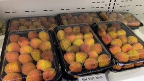 Vải thiều sớm Bắc Giang trên kệ của siêu thị tại Nhật Bản. Ảnh: N.THỌ