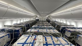 Vải thiều được vận chuyển trong khoang khách máy bay Boeing 787-9. Ảnh: VNA