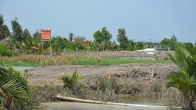 Giải mã cơn sốt đất tại TPHCM