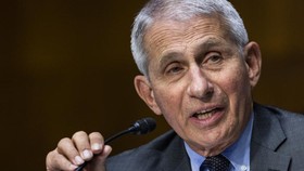 Chuyên gia bệnh truyền nhiễm hàng đầu Mỹ - bác sĩ Anthony Fauci. Ảnh: AP