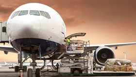 Thị trường vận tải hàng hóa bằng đường hàng không thế giới vẫn duy trì tốc độ tăng trưởng tốt bất chấp dịch Covid -19.
