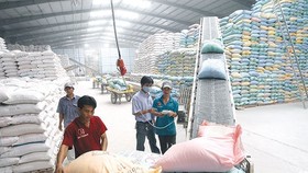 TPHCM và 23 tỉnh thành sẽ được cấp hơn 130.000 tấn gạo hỗ trợ người dân khó khăn vì Covid-19.