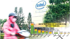 Bệ đỡ cho hợp tác kinh tế, đầu tư Việt - Mỹ