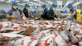 14 Hiệp hội doanh nghiệp đề xuất ban hành chỉ thị phòng chống dịch thay thế Chỉ thị 15,16