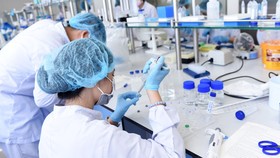 Nghiên cứu và phát triển vaccine Nano Covax. Ảnh: Duyên Phan