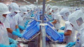 3 chân kiềng để phục hồi và phát triển kinh tế