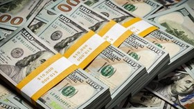 Việc chào mua ngoại tệ giao ngay là một trong những nghiệp vụ mới được Kho bạc Nhà nước áp dụng.
