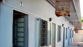 TPHCM chuẩn bị cải tạo hơn 720.000 căn nhà trọ sau dịch Covid-19